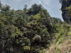 -苍山感通索道