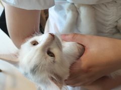 -平行世界·猫咖(首经贸店)