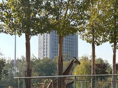 -天津市动物园