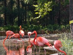 -石家庄市动物园