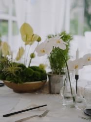 -琥珀婚礼策划AMBER WEDDING