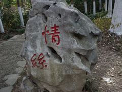 -新洲生态园