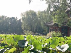 -莲池书院博物馆