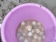 -启东黄金海滩景区