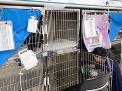 -美联众合动物医院·24h京西诊疗中心
