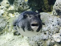 -福州罗源湾海洋世界旅游区