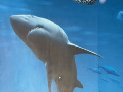 -小海豚•老字号海鲜餐厅(天涯店)