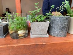 -铃木食堂(帽儿胡同店)