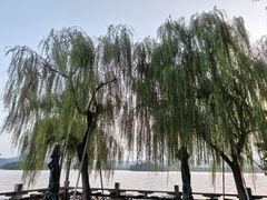 -浙江省博物馆(孤山馆区)