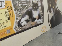 -五月花商业广场(中山五路店)