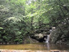 -青峰峡国家森林公园