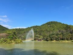 -广州白江湖森林公园