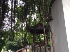-乌山风景区