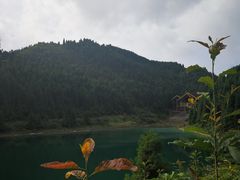 -武陵山森林公园
