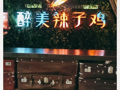 -天山醉美辣子鸡(文艺路店)