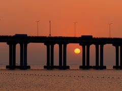 -宝安西湾红树林湿地公园
