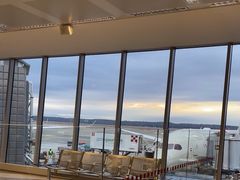 -米兰马尔彭萨国际机场