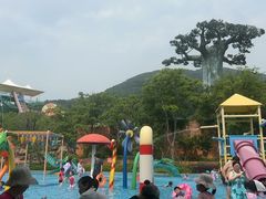 -苏州乐园森林水世界