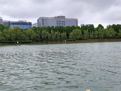 -天鹅湖体育公园