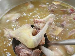 五指毛桃药膳鸽-鸽鸟轩(石岐店)