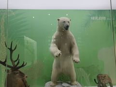 -国家自然博物馆