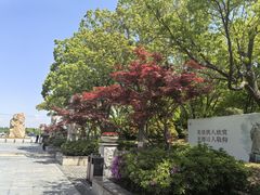 -郑和公园