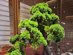 -牛村来人潮汕牛肉火锅(西单店)