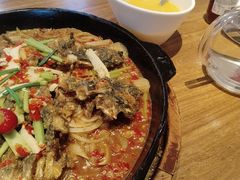 -老板恋上鱼(恒隆广场店)