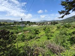 -大姆山草场