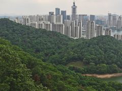 -桃花岭景区