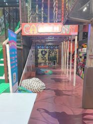 -卡通尼·Safari非洲探索乐园·生日会(金桥国际商业广场店)