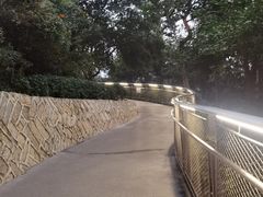 -仙岳公园