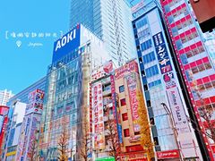 -秋叶原电器街
