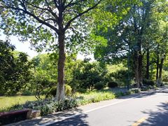 -西溪国家湿地公园