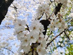 -永乐路-路侧停车场