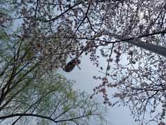 -颐和园