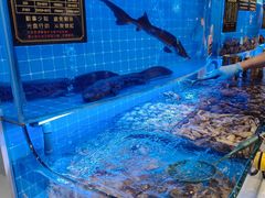 -海悦港蒸汽海鲜·和牛火锅自助餐厅