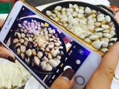 -顺德哥卜卜贝(旗舰店)