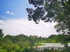 -东莞植物园