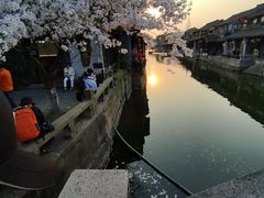 -西塘人家•黑金冠本地好店