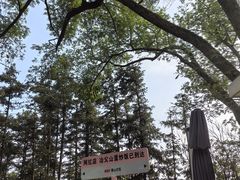 -冶父山国家森林公园