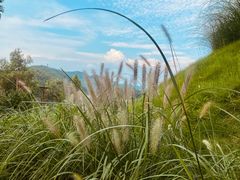 -华凌山庄·隐湖栖