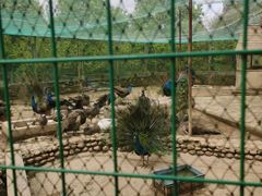 -武汉紫薇都市田园