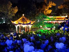 -房湖公园