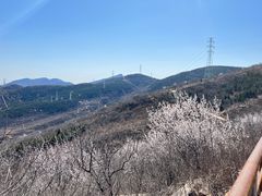 -定都阁