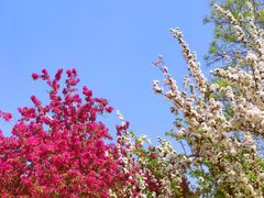 -海棠花溪(元大都城垣遗址公园)
