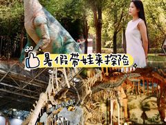 -中国西峡恐龙遗迹园