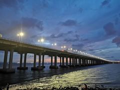 -宝安西湾红树林湿地公园