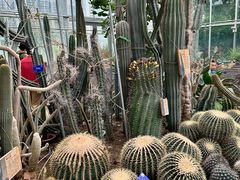 -国家植物园南园