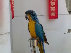 -西安秦岭野生动物园